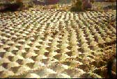 Imprinted Land