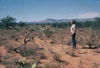 Desert land prior to imprinting